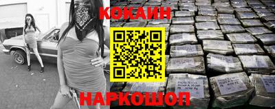 стафф Кингисепп