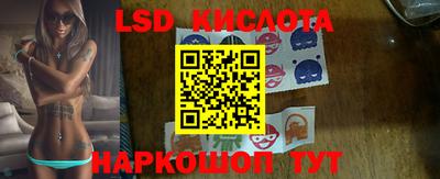 стафф Кингисепп