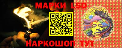 стафф Кингисепп