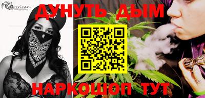 стафф Кингисепп