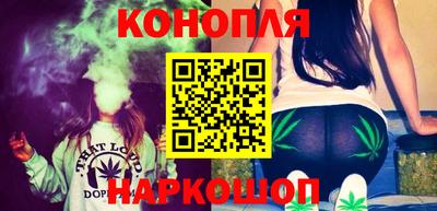 стафф Кингисепп