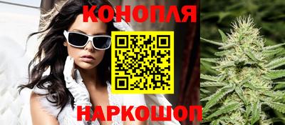 стафф Кингисепп