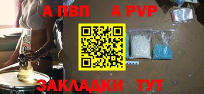 стафф Кингисепп