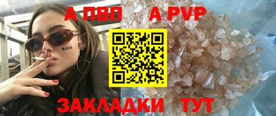 стафф Кингисепп