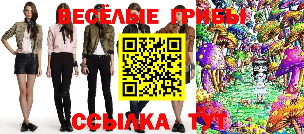 Псилоцибиновые грибы мицелий  Галлюциногенные грибы Psilocybine cubensis  цены   Вход с VPN  Георгиевск 